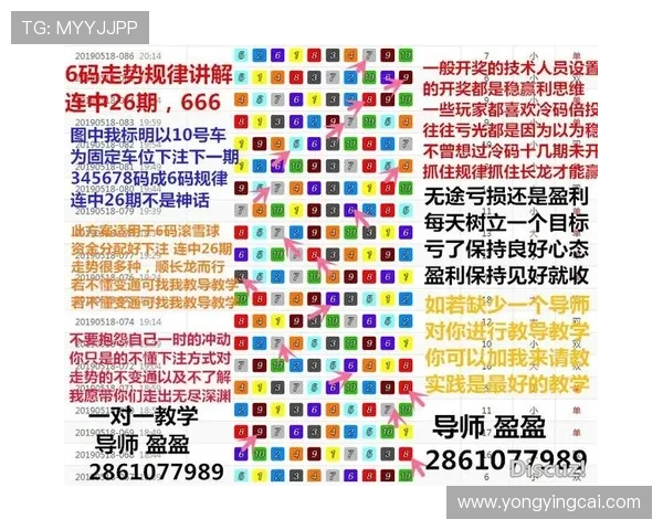幸运飞艇计划详解及其策略技巧分析，助你稳步提升投注成功率